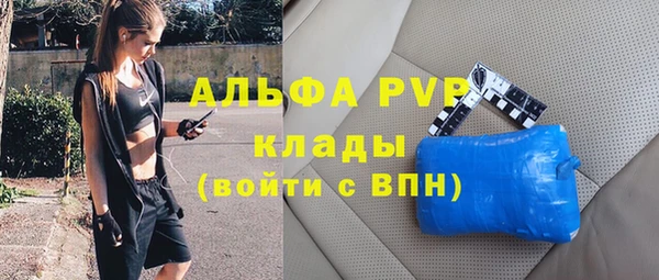 стаф Зеленокумск