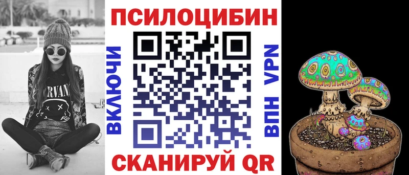 Купить закладки  Нововоронеж  Галлюциногенные грибы Psilocybine cubensis 